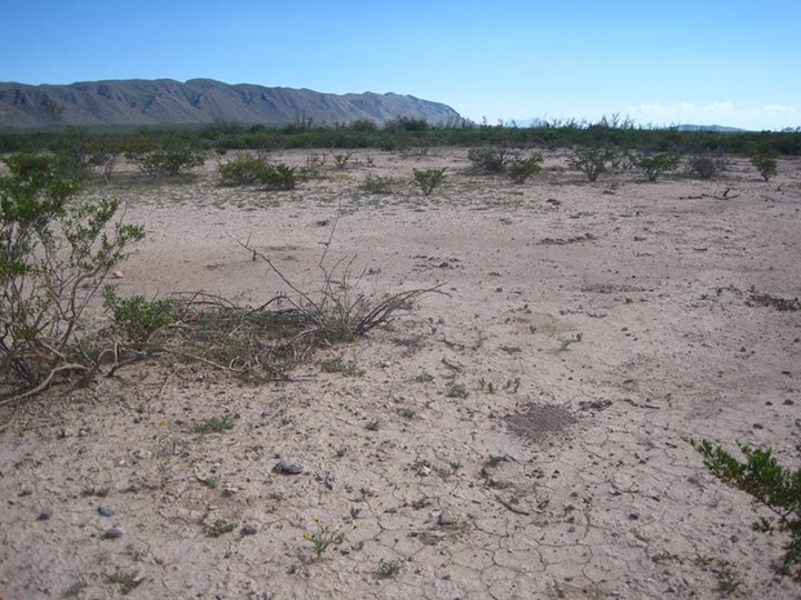 Mexico - parched land - photo by Alejandro Carrillo