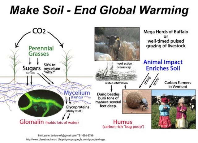 Graphic: Make Soil - End Global Warming