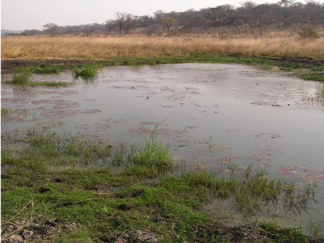 New, year-round surface water on Dimbangombe River in Zimbabwe.