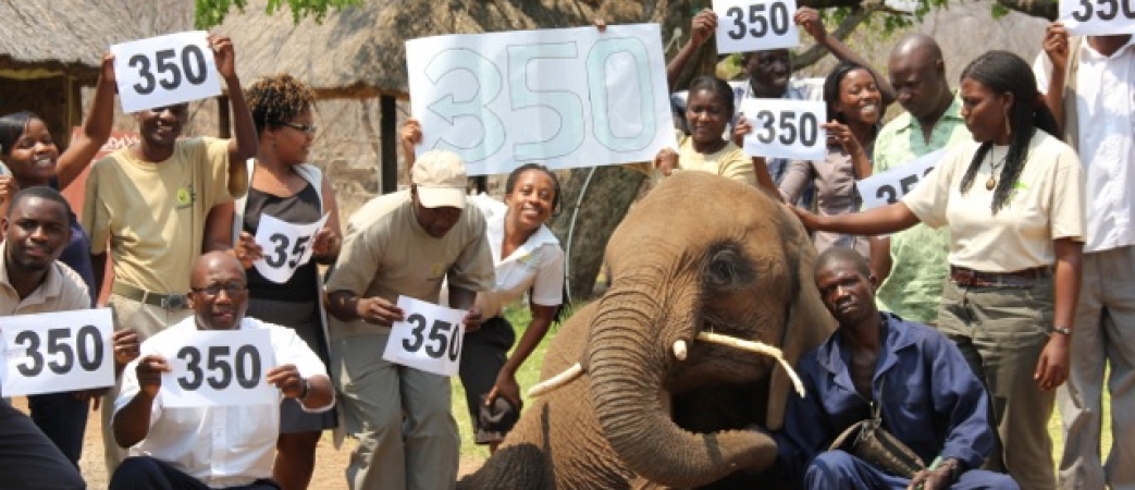 350 Event photo with Dojiwe the elephant