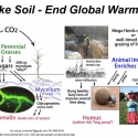 Graphic: Make Soil - End Global Warming