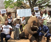 350 Event photo with Dojiwe the elephant