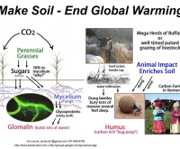 Graphic: Make Soil - End Global Warming